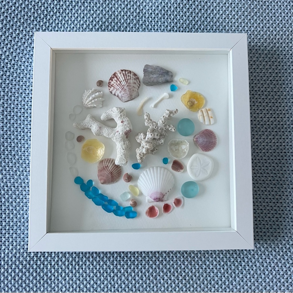 Framed Seashell and Coral Art